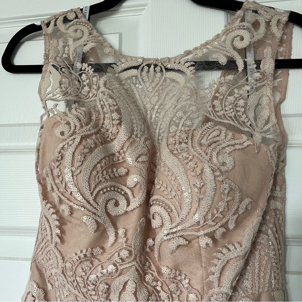 Jenny Yoo Lace Midi Dress - Size 2 Blush from Anthropologie - Picture 5 of 13